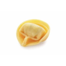 TORTELLONI RICOTTA E SPINACI KG.2 GELO
